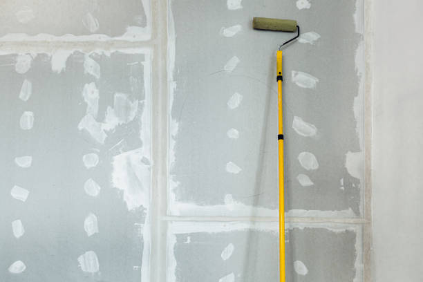 Best Mold Remediation for Healthcare Facilities  in Saint John Fisher College, NY