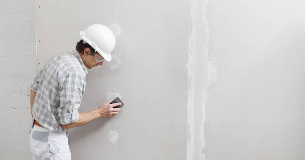 Best Comprehensive Air Testing for Mold Contaminants  in Saint John Fisher College, NY