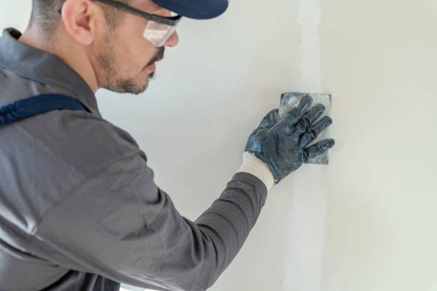 Best Post-Construction Mold Inspection  in Saint John Fisher College, NY