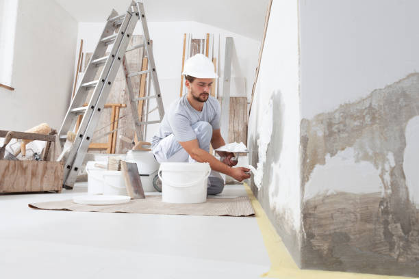 Best Mold-Related Health Consultation  in Saint John Fisher College, NY